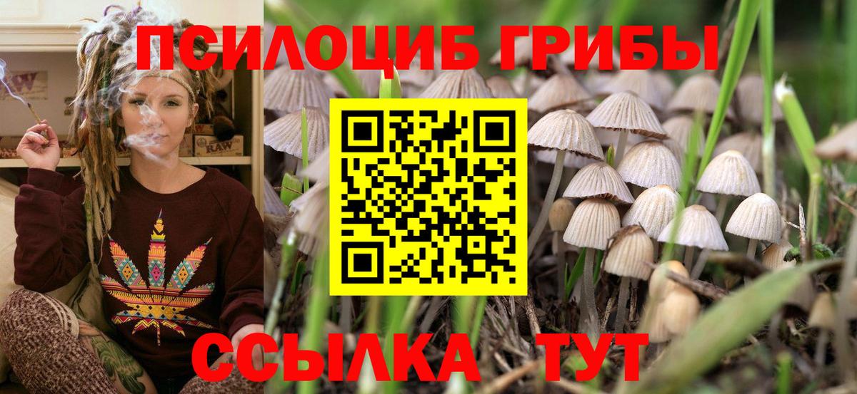 Галлюциногенные грибы прущие грибы Каменка