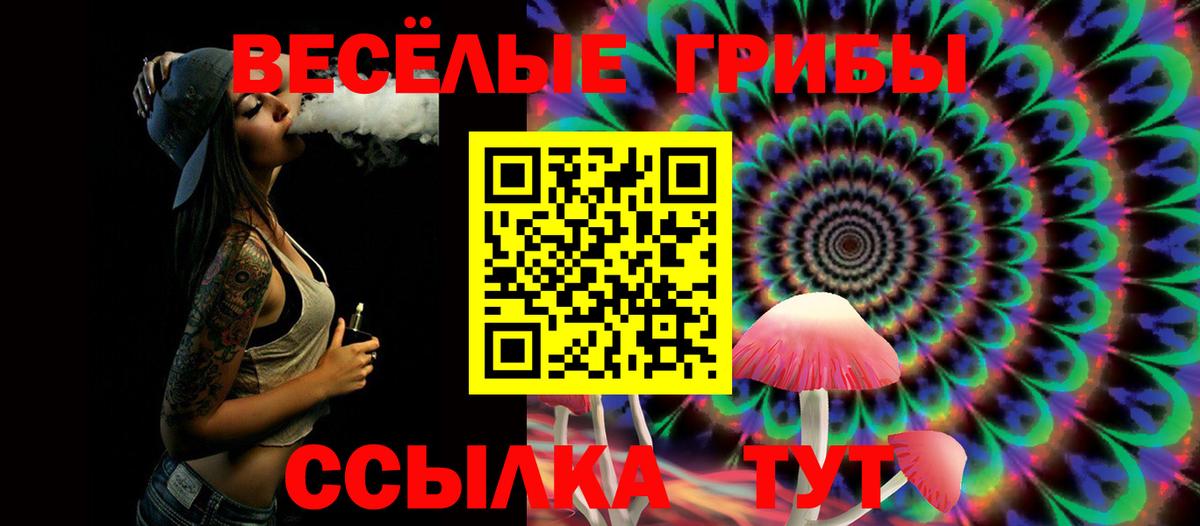 Каменка  Псилоцибиновые грибы Magic Shrooms  Вход с VPN 